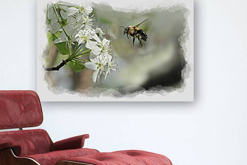 Bubble bee looking for nectar by Daniel L Friend