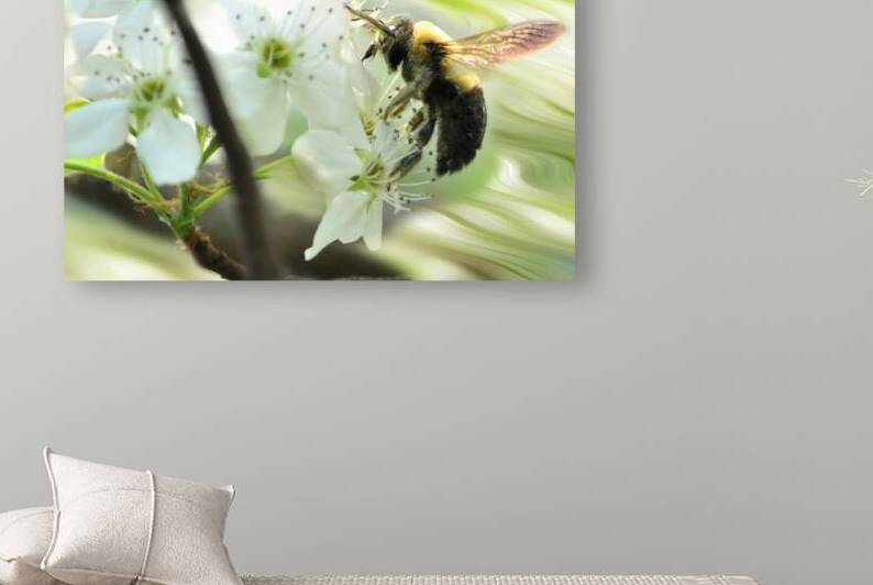 Bumble bee on flower by Daniel L Friend