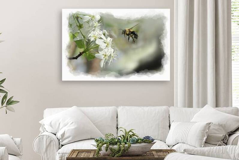 Bubble bee looking for nectar by Daniel L Friend