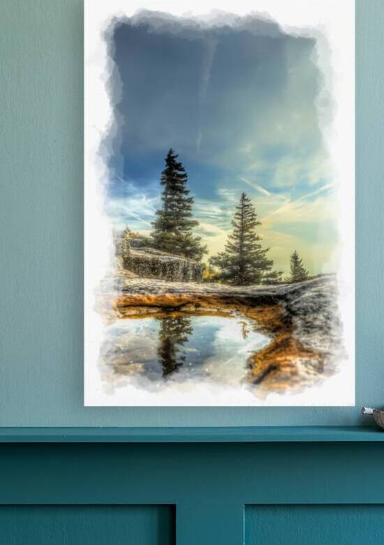 Scenic of reflection of tree in water at Bear rock in Dolly Sods by Daniel L Friend