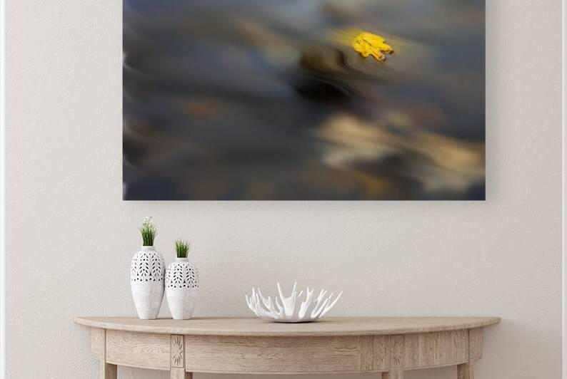 Yellow leaf floating in water by Daniel L Friend
