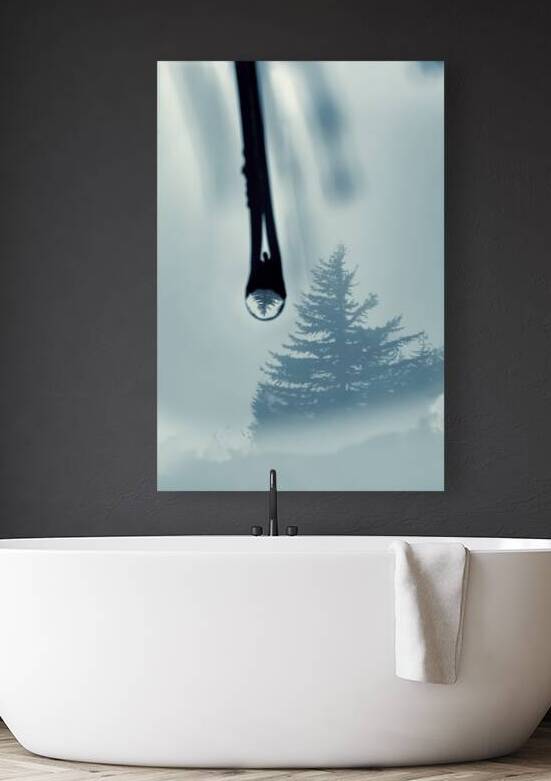Water drop with tree reflection by Daniel L Friend