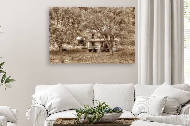 Memories behind the trees by Daniel L Friend