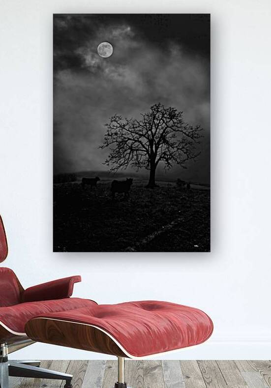 Moonlite tree on the farm by Daniel L Friend