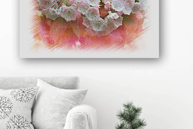 Mountain Laurel flowers by Daniel L Friend
