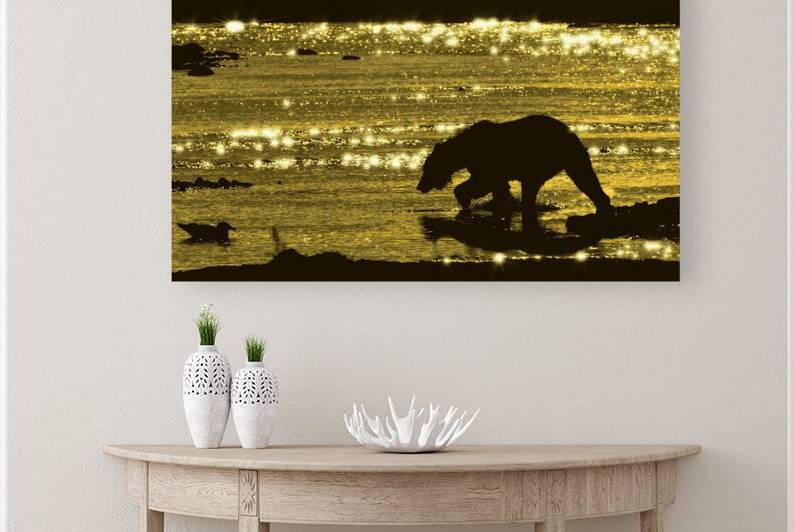 Brown bear searching salmon in evening by Daniel L Friend
