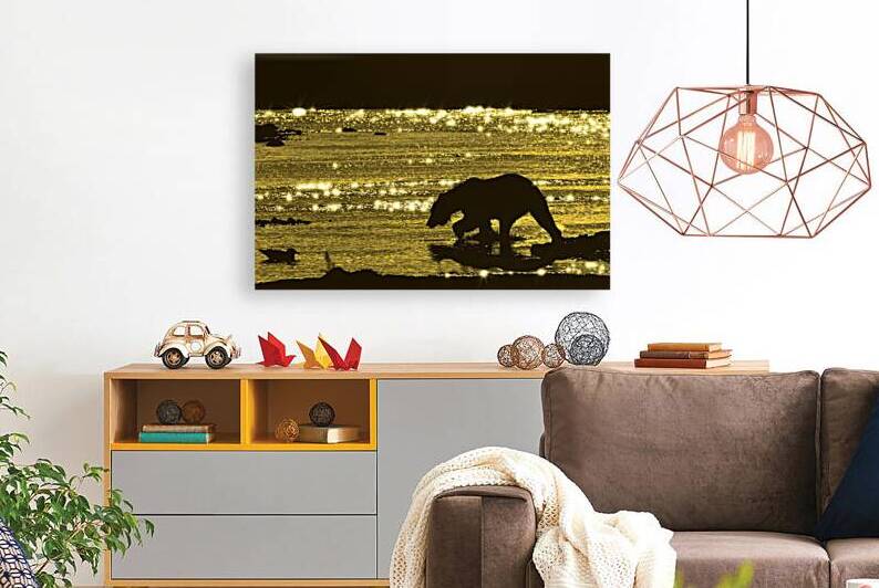 Brown bear searching salmon in evening by Daniel L Friend