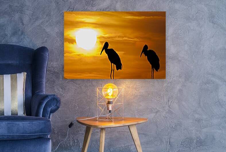 Two old birds at end of day by Daniel L Friend