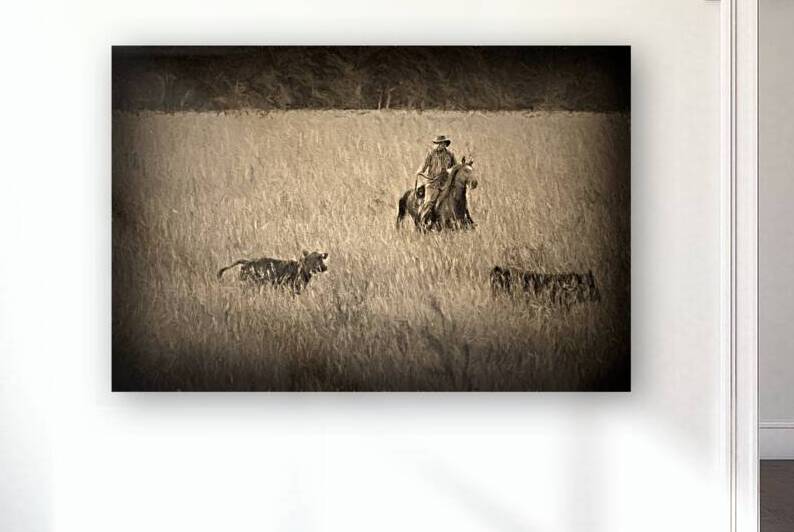 Cattle round up and drive in West Virginia.. by Daniel L Friend