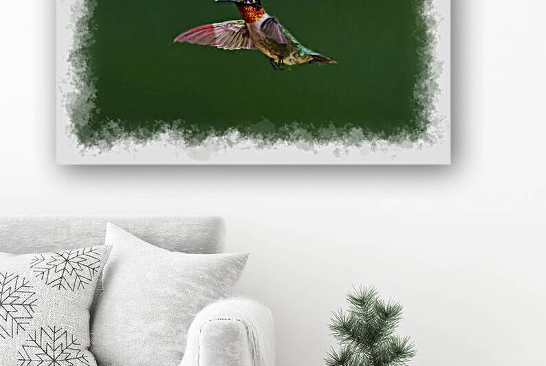 Hummingbird flying by Daniel L Friend
