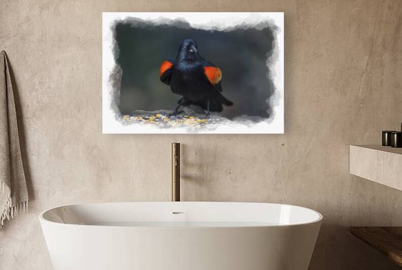 Red-winged Blackbird by Daniel L Friend