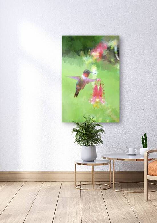 A flash of green and red the Ruby-throated Hummingbird is eastern North America’s sole breeding hummingbird by Daniel L Friend