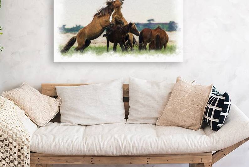 Wild Horses of the Rachel Carson Reserve by Daniel L Friend