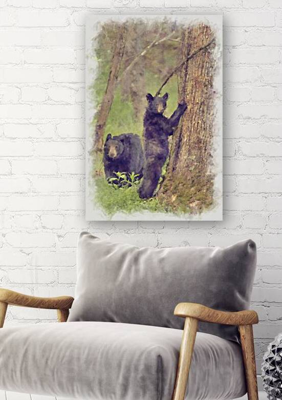 Black bear in the woods by Daniel L Friend