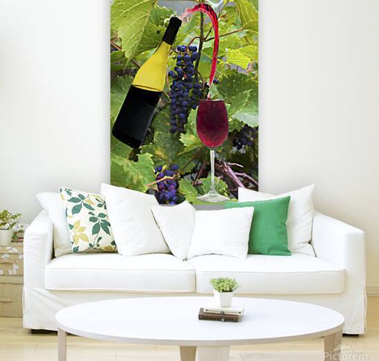 Grapes and other fruit on vines by Daniel L Friend