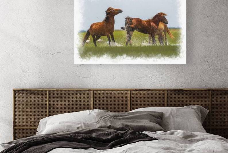 Wild Horses of the Rachel Carson Reserve  by Daniel L Friend