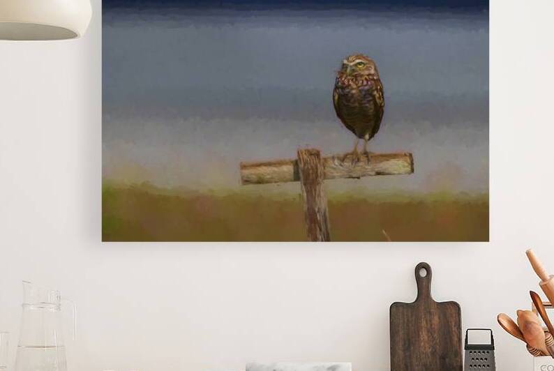 Burrowing owl perched on stick paintography by Daniel L Friend
