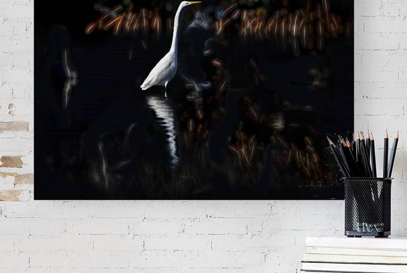 White egret hunting for food by Daniel L Friend