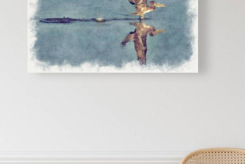 Brown pelican taking off from the water by Daniel L Friend
