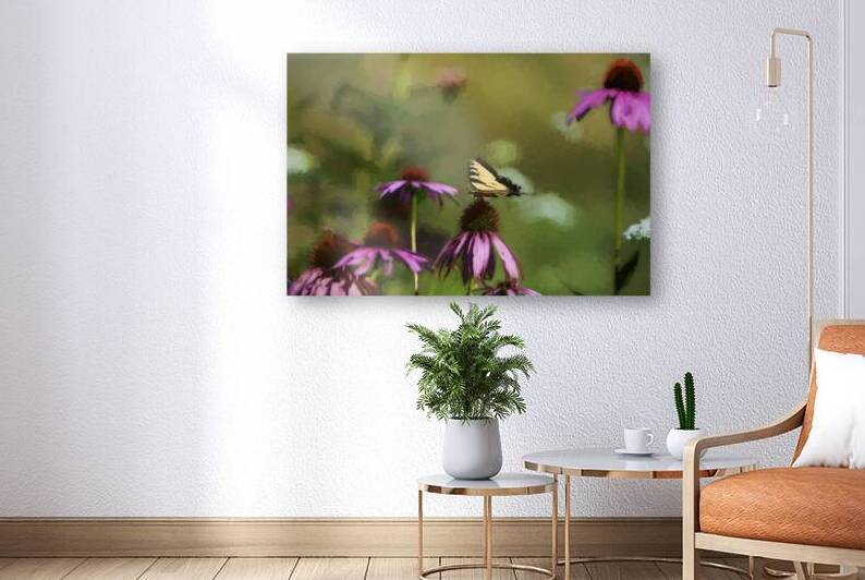 Purple Coneflower with Eastern Tiger Swallowtail feeding on it by Daniel L Friend