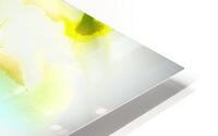 Bumble going in for the nectar HD Metal print