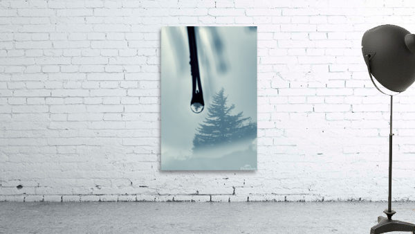 Water drop with tree reflection Wall Preview