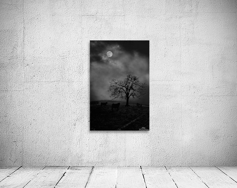 Moonlite tree on the farm Wall Preview
