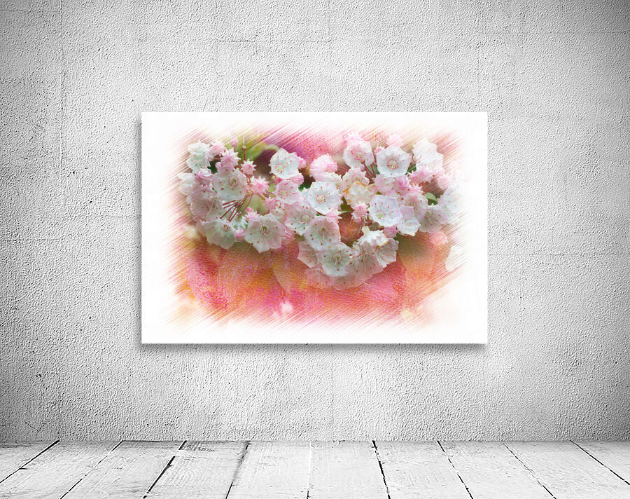 Mountain Laurel flowers Wall Preview