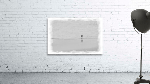 Sandpiper on beach Wall Preview