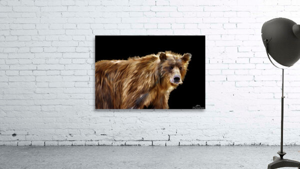 Portrait brown bear Wall Preview