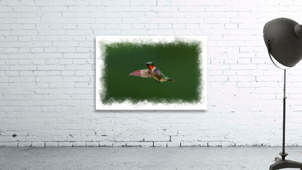 Hummingbird flying Wall Preview