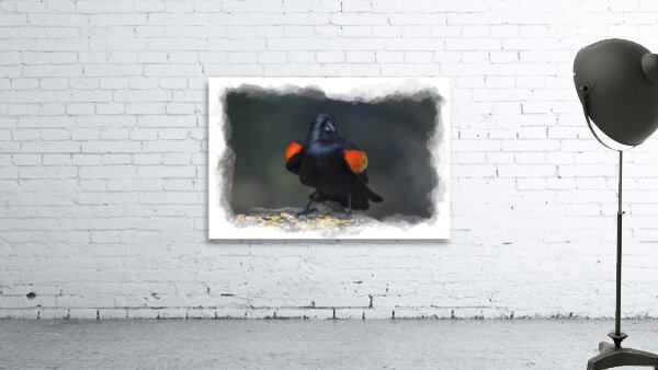 Red-winged Blackbird Wall Preview