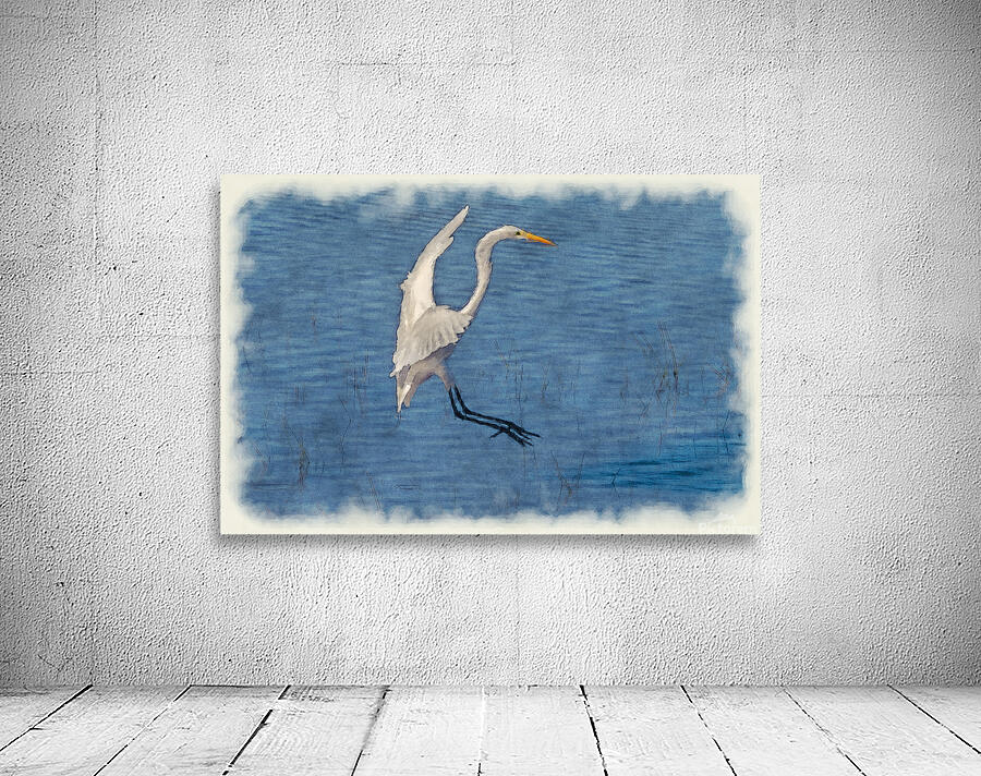 White egret landing Wall Preview
