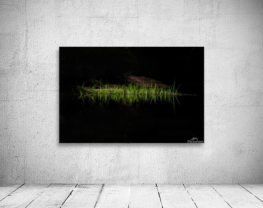 Grass along the rivers edge Wall Preview
