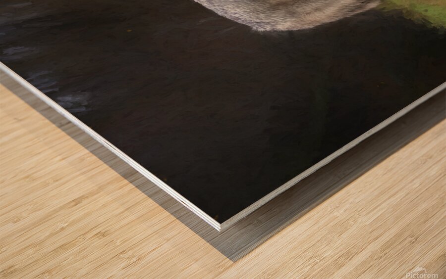 The wolf also known as the greygray wolf or timber wolf  Wood print