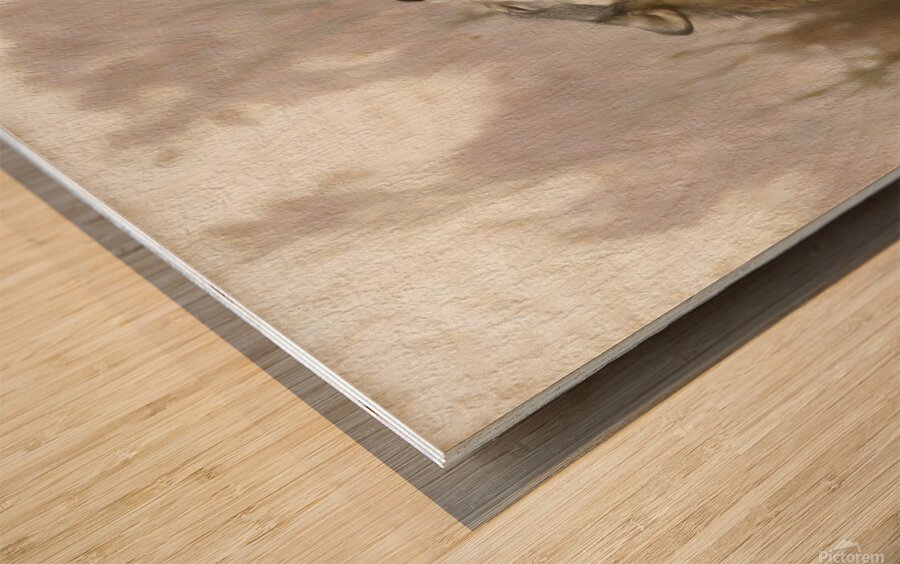 Wolves are legendary because of their spine-tingling howl  Wood print