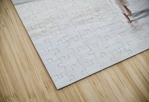 Unshaken  Heidi G Smith puzzle