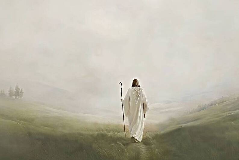 Light in the Mist  Reproduction