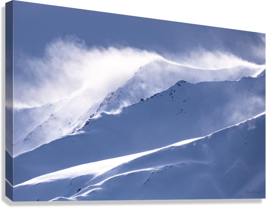 Alsek Spin Drift - LS21003 Canvas Print