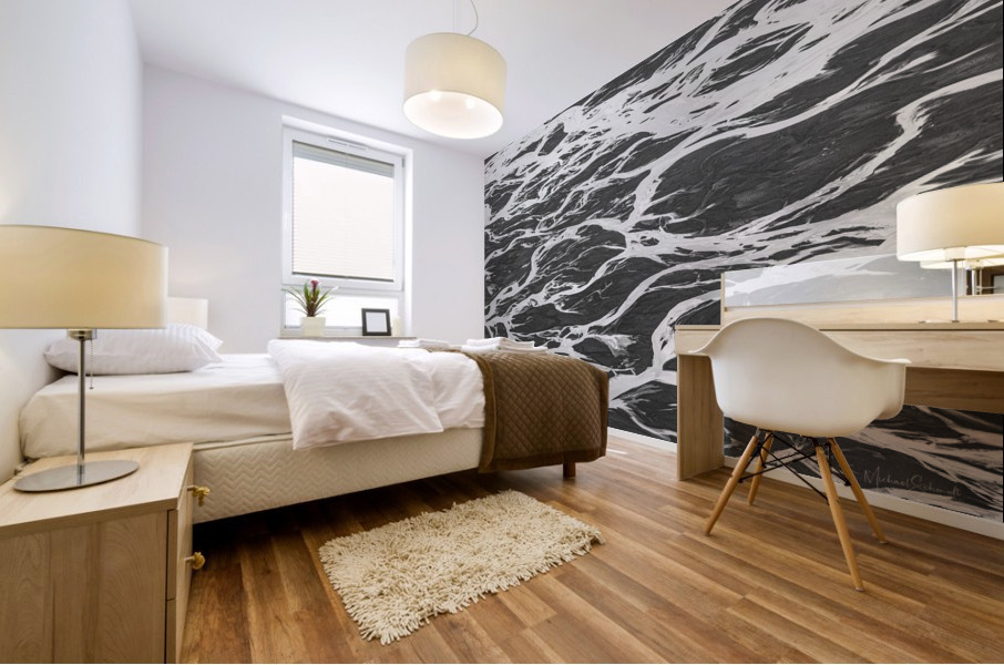 River Braids - BW16003 Mural print