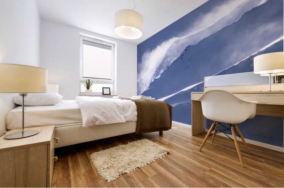 Alsek Spin Drift - LS21003 Mural print