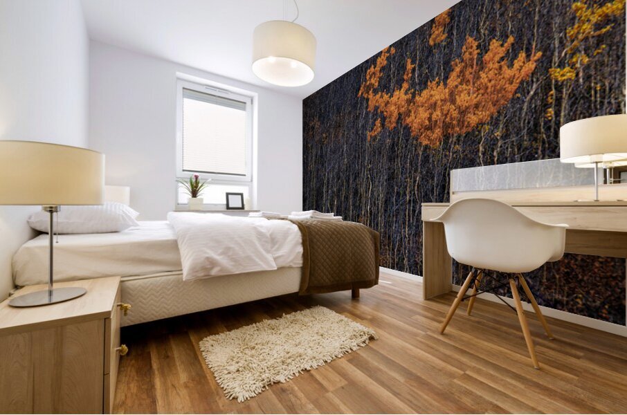 Auriol Range Fall - LS19003 Mural print