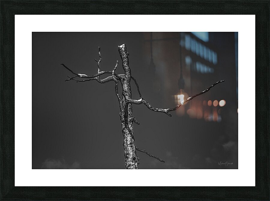 Charred   BW17001 Picture Frame print