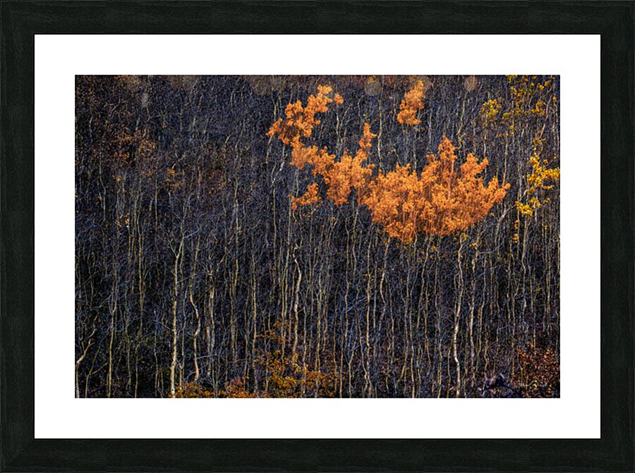Auriol Range Fall - LS19003 Picture Frame print