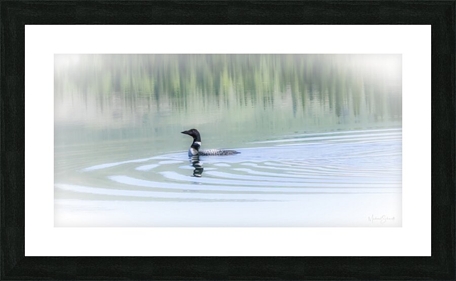 Loon Solitude - BD23004.1 Picture Frame print