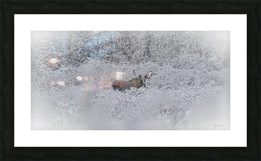 Winter Moose - WL24001 Picture Frame print
