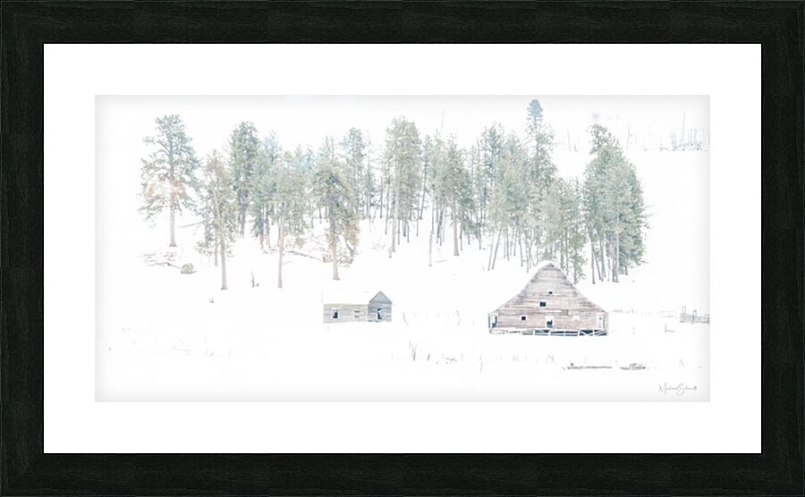 Abandoned - LS13001  Picture Frame print