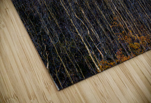 Auriol Range Fall - LS19003 MICHAEL SCHMIDT PHOTOGRAPHY puzzle