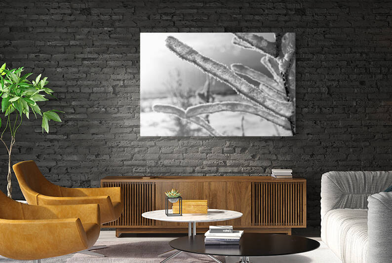 Winter Crystals - BW18001 by MICHAEL SCHMIDT PHOTOGRAPHY