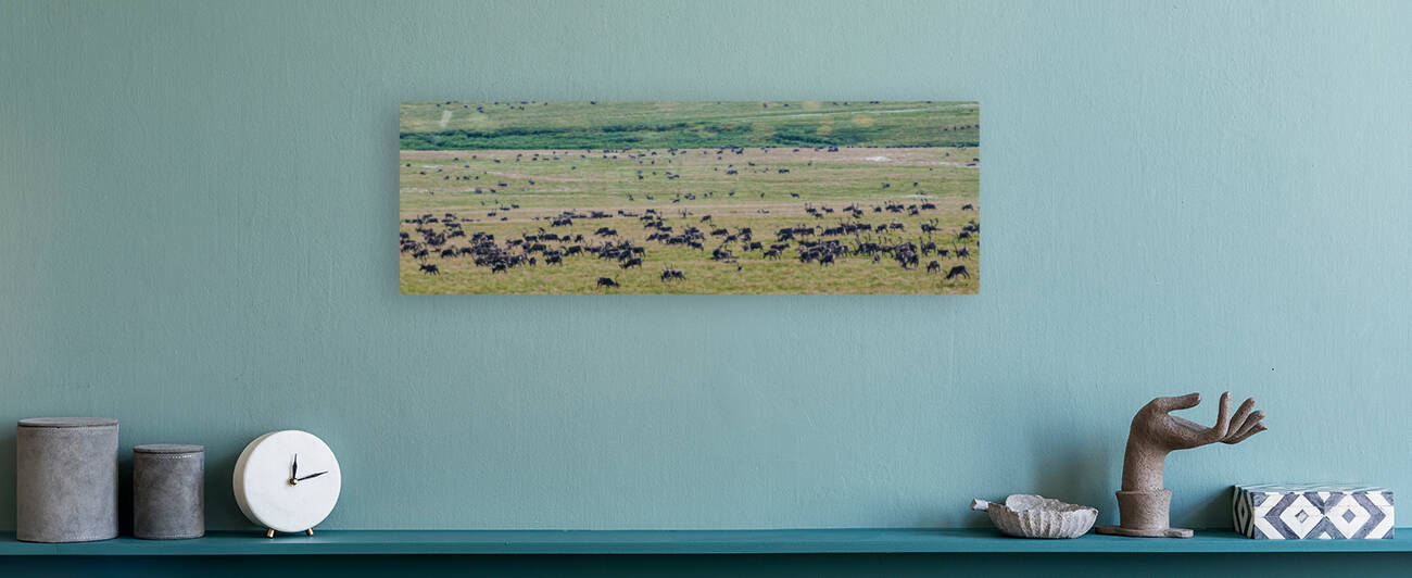 Caribou Fall Migration - WL12001 by MICHAEL SCHMIDT PHOTOGRAPHY